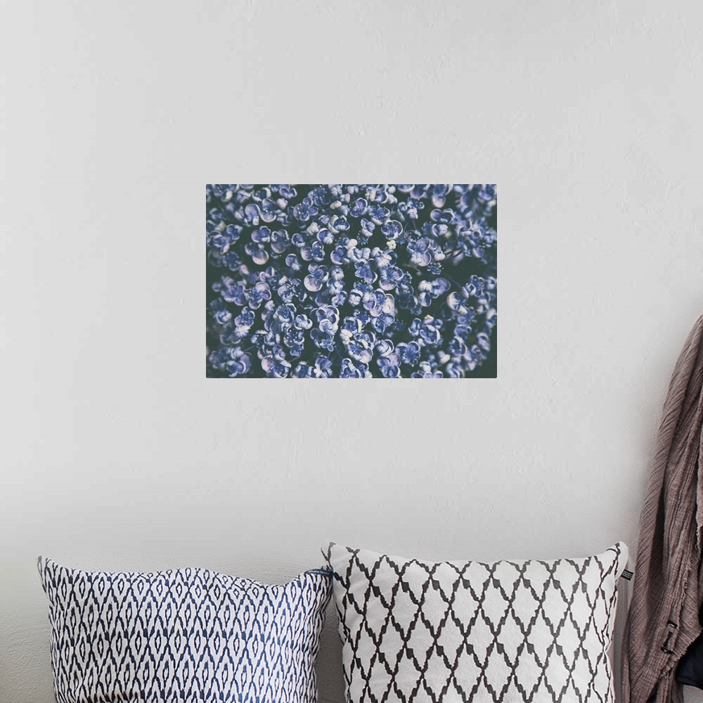 A bohemian room featuring Lilac Closeup