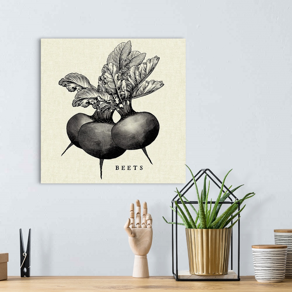 A bohemian room featuring Black and white illustration of beets on a rustic linen background.