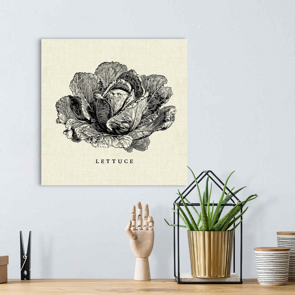 A bohemian room featuring Black and white illustration of a head of lettuce on a rustic linen background.