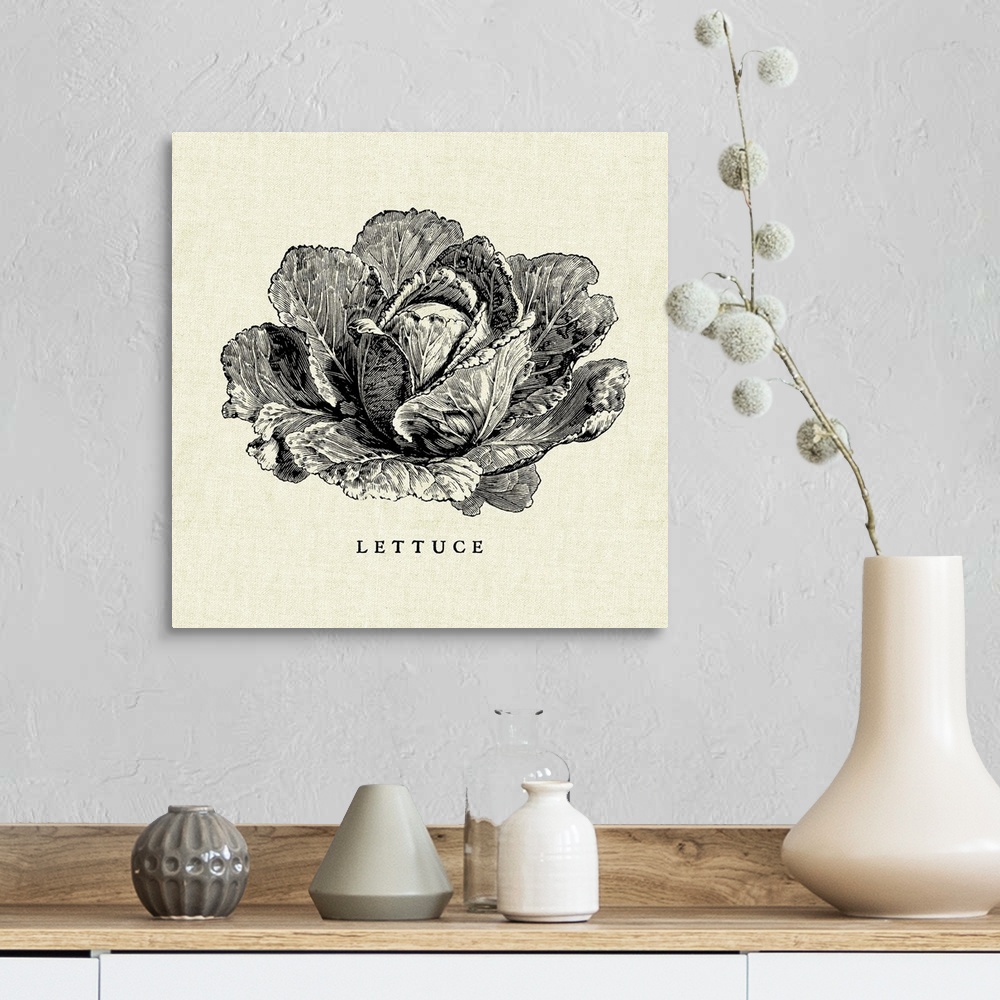 A farmhouse room featuring Black and white illustration of a head of lettuce on a rustic linen background.