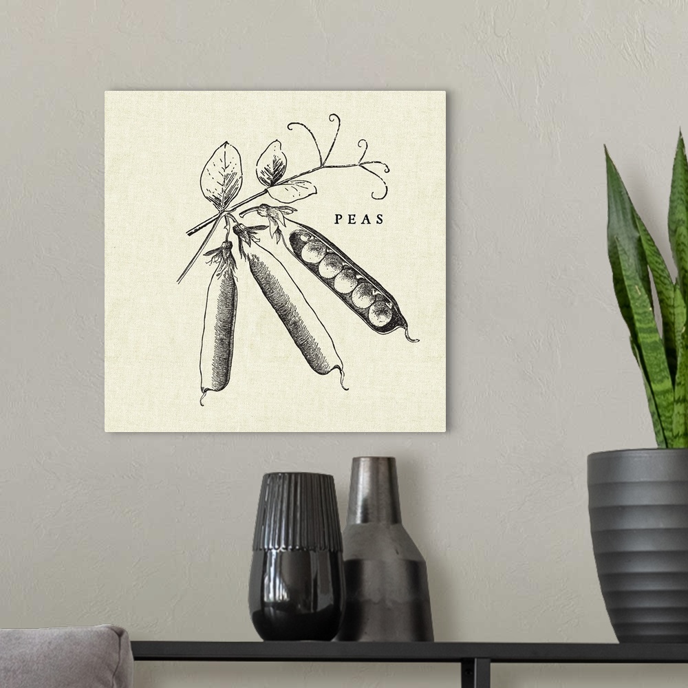 A modern room featuring Black and white illustration of peas in pods on a rustic linen background.