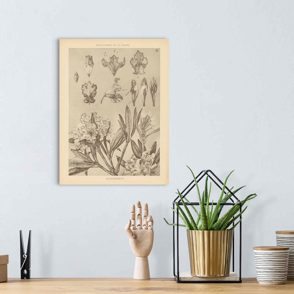 A bohemian room featuring Lithograph Florals IV