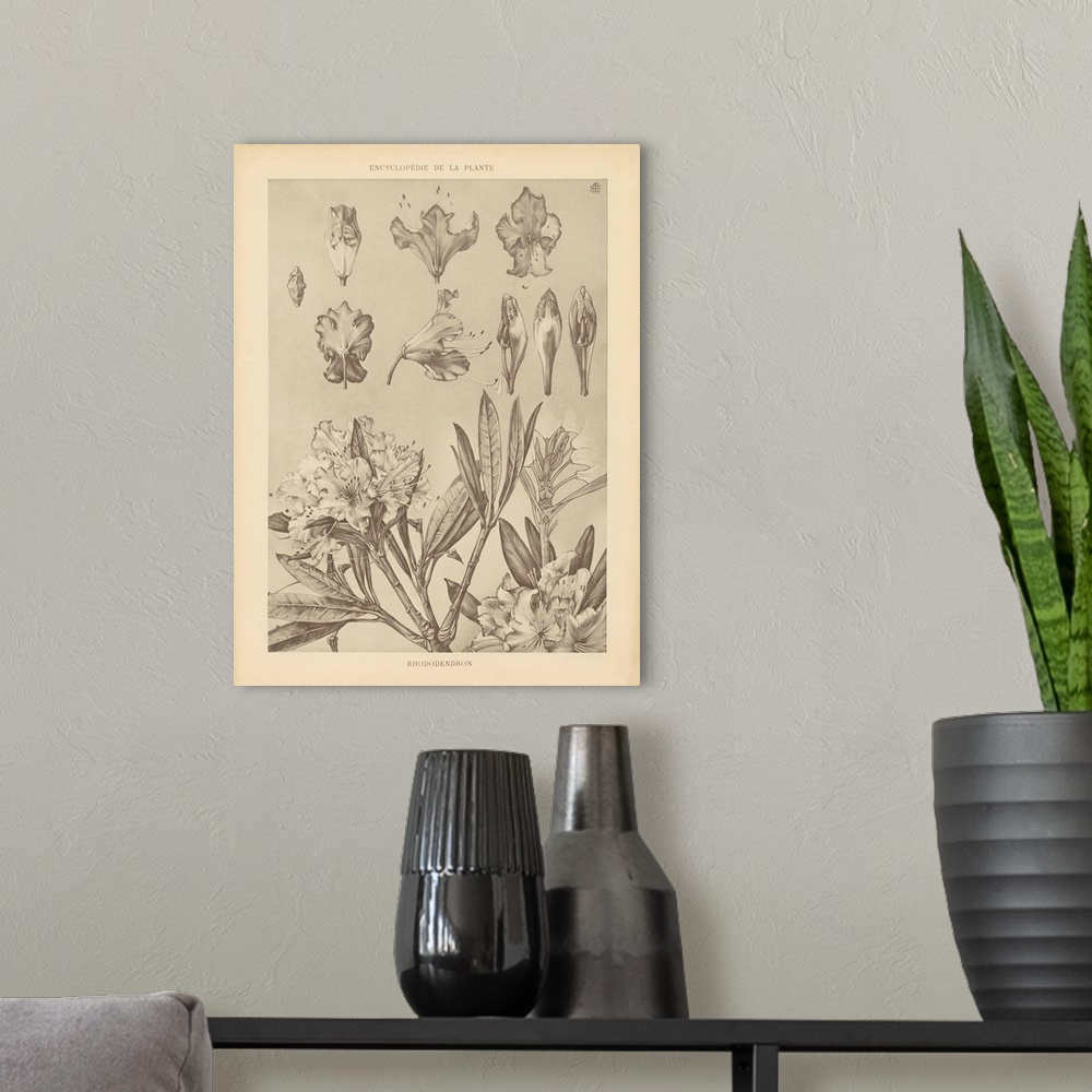 A modern room featuring Lithograph Florals IV