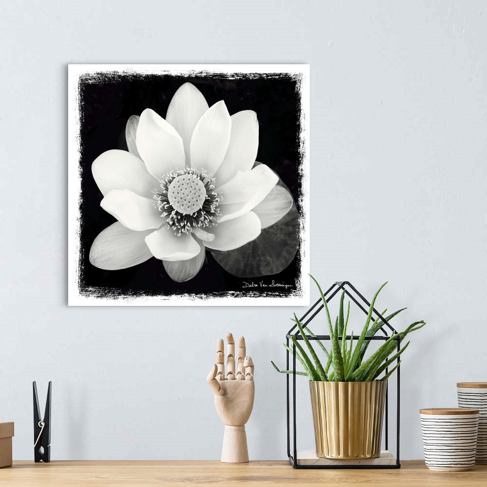 A bohemian room featuring A black and white photograph of a white flower, with and artistic border around it.