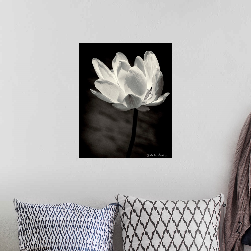 A bohemian room featuring A black and white photograph of a white flower almost looking as if its glowing.