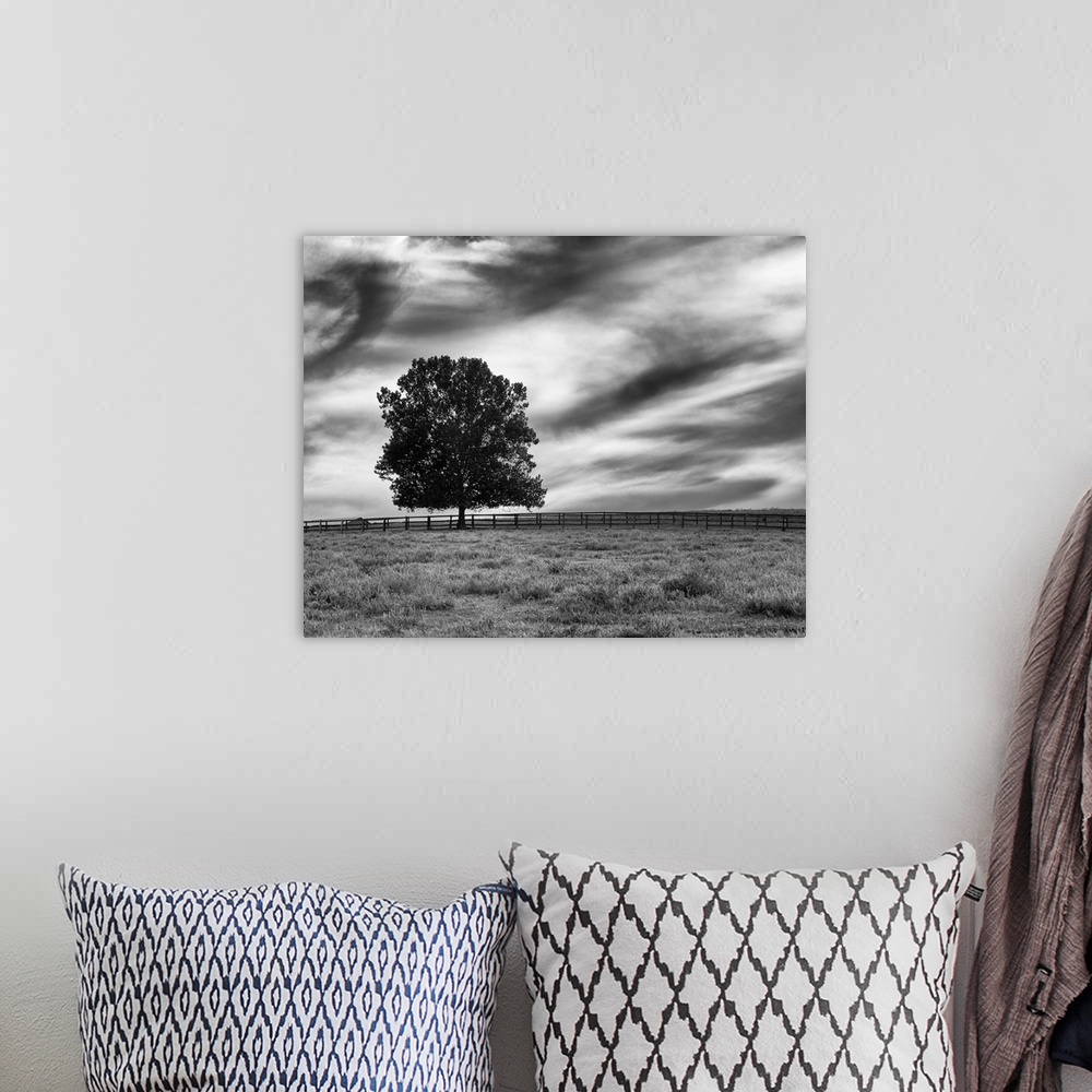 A bohemian room featuring A lone tree stands marvelously against  a simple field with stormy clouds above in this photo.