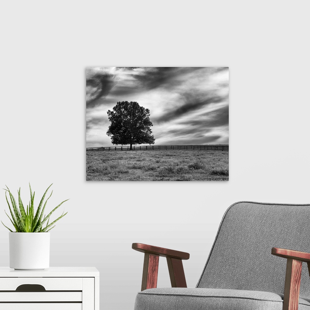 A modern room featuring A lone tree stands marvelously against  a simple field with stormy clouds above in this photo.