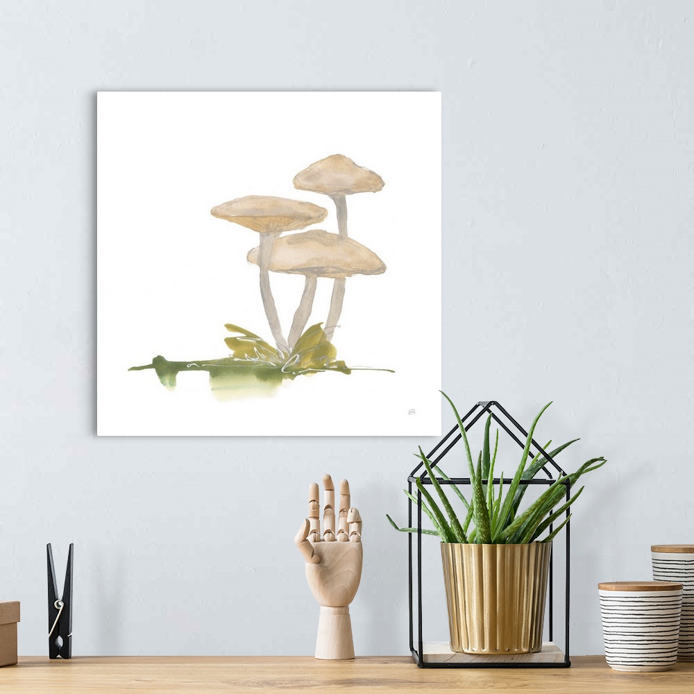 A bohemian room featuring Mellow Mushrooms I