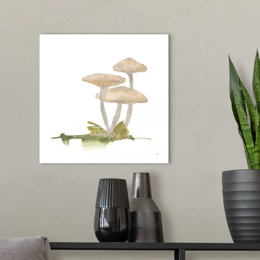 A modern room featuring Mellow Mushrooms I