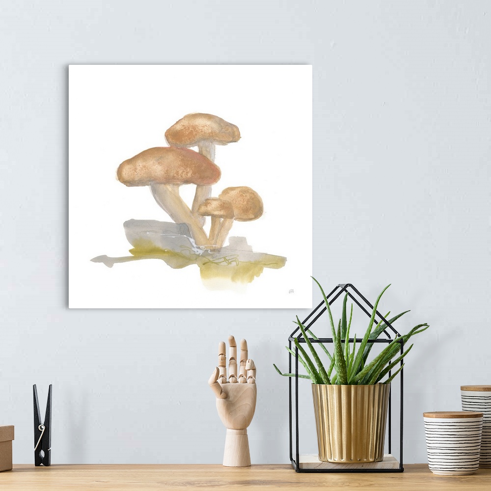 A bohemian room featuring Mellow Mushrooms IV