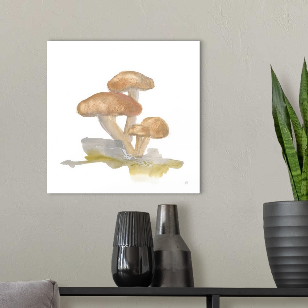 A modern room featuring Mellow Mushrooms IV