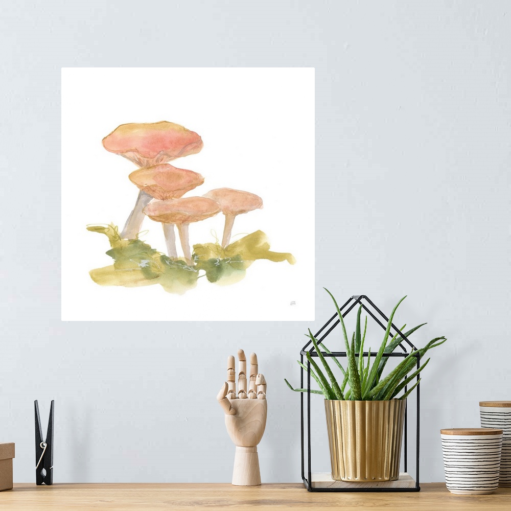A bohemian room featuring Mellow Mushrooms VI
