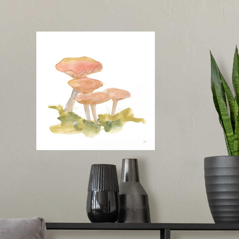 A modern room featuring Mellow Mushrooms VI