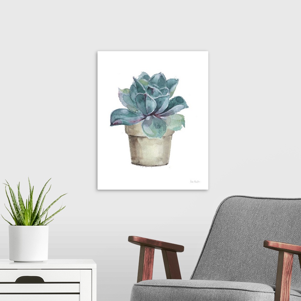A modern room featuring Mixed Greens Succulent IV