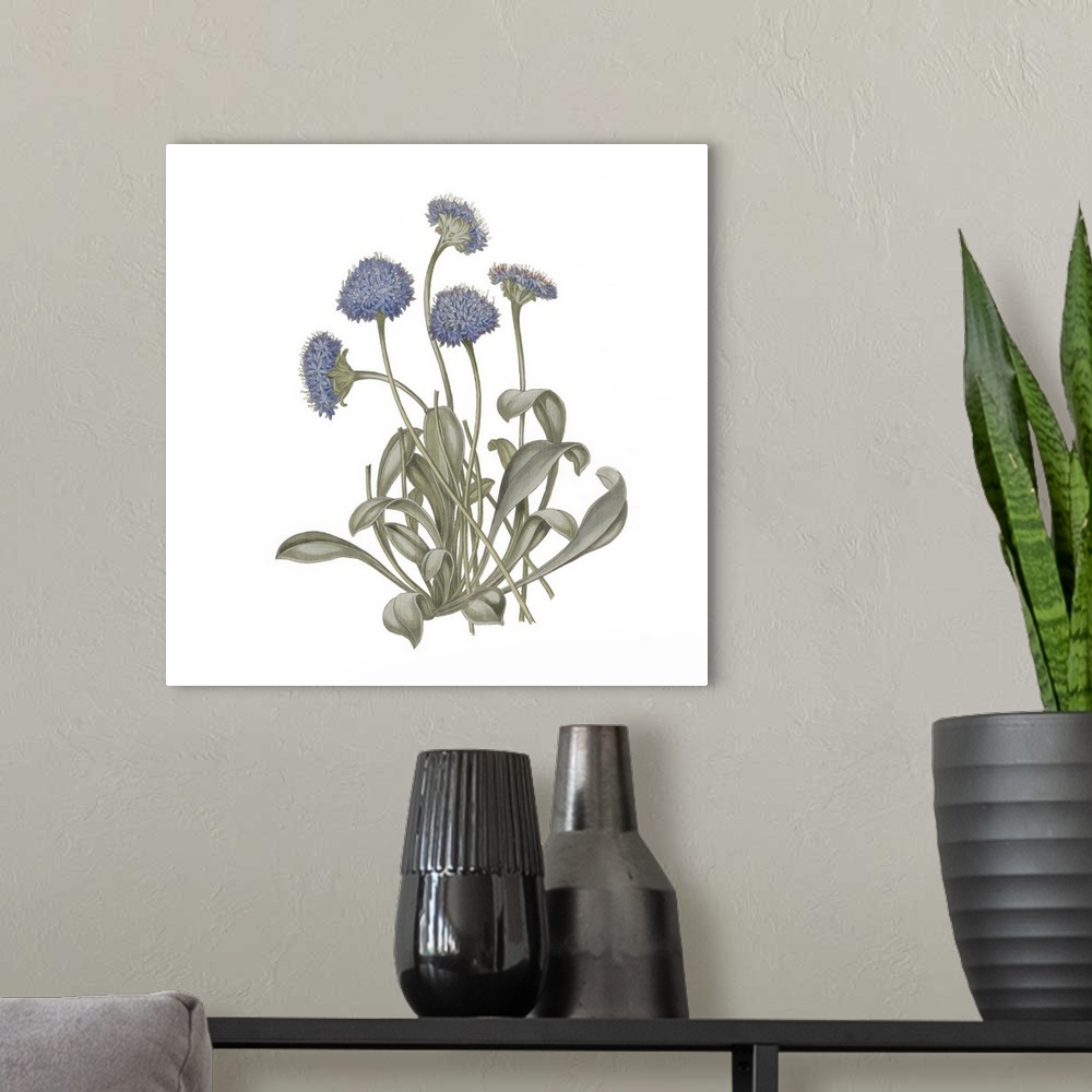A modern room featuring Monument Etching Tile Flowers IX