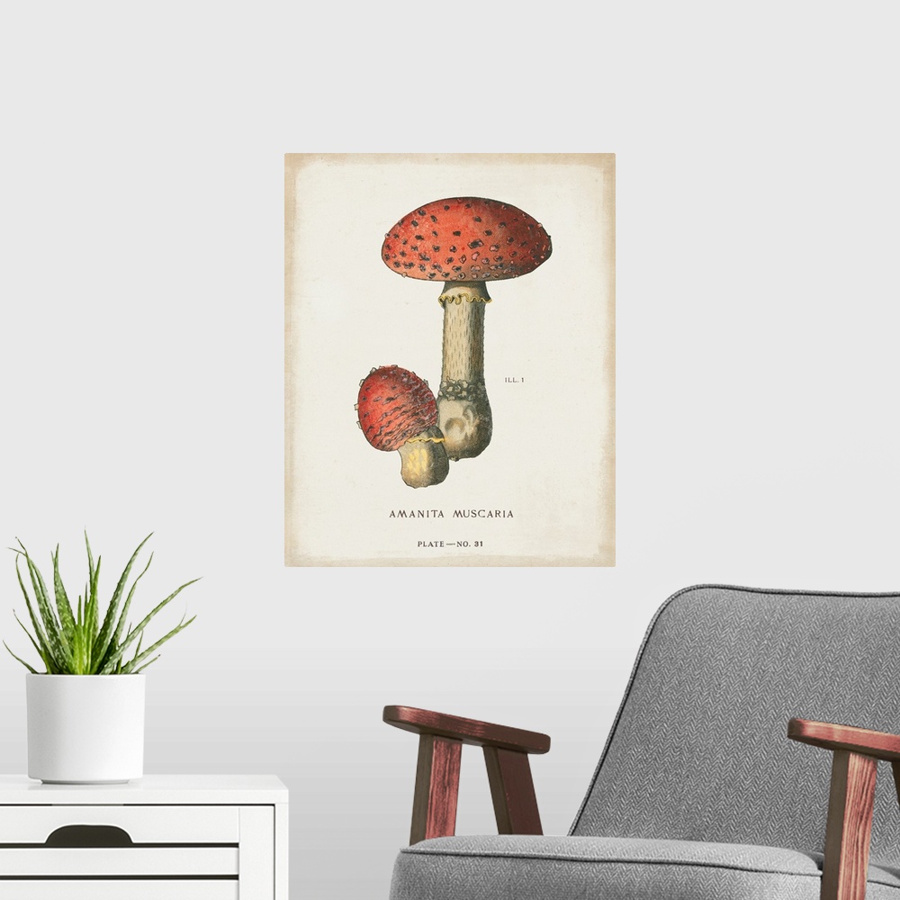A modern room featuring Mushroom Study I