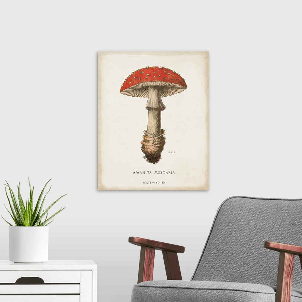 A modern room featuring Mushroom Study II