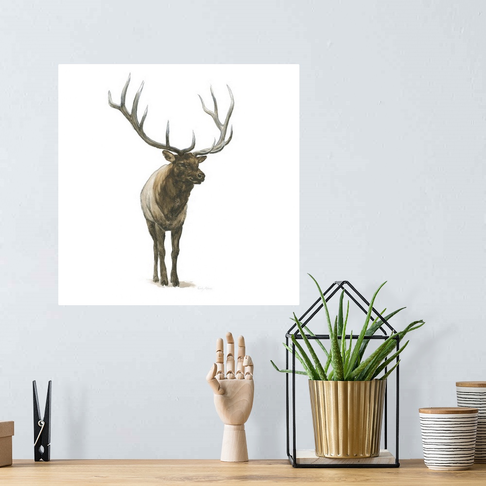A bohemian room featuring Square painting of an elk with large antlers on a solid white background.