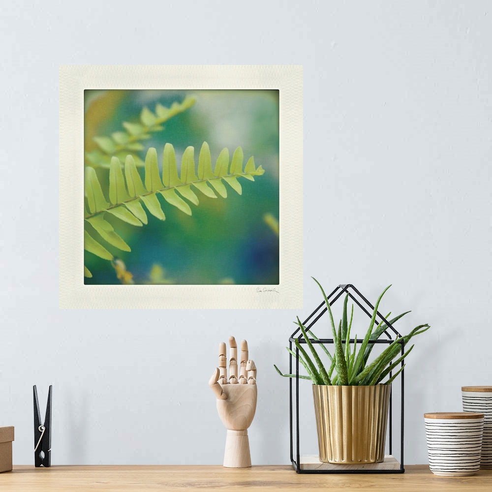 A bohemian room featuring Photograph of a bright green fern, with a blurred background keeping focus on the fern.