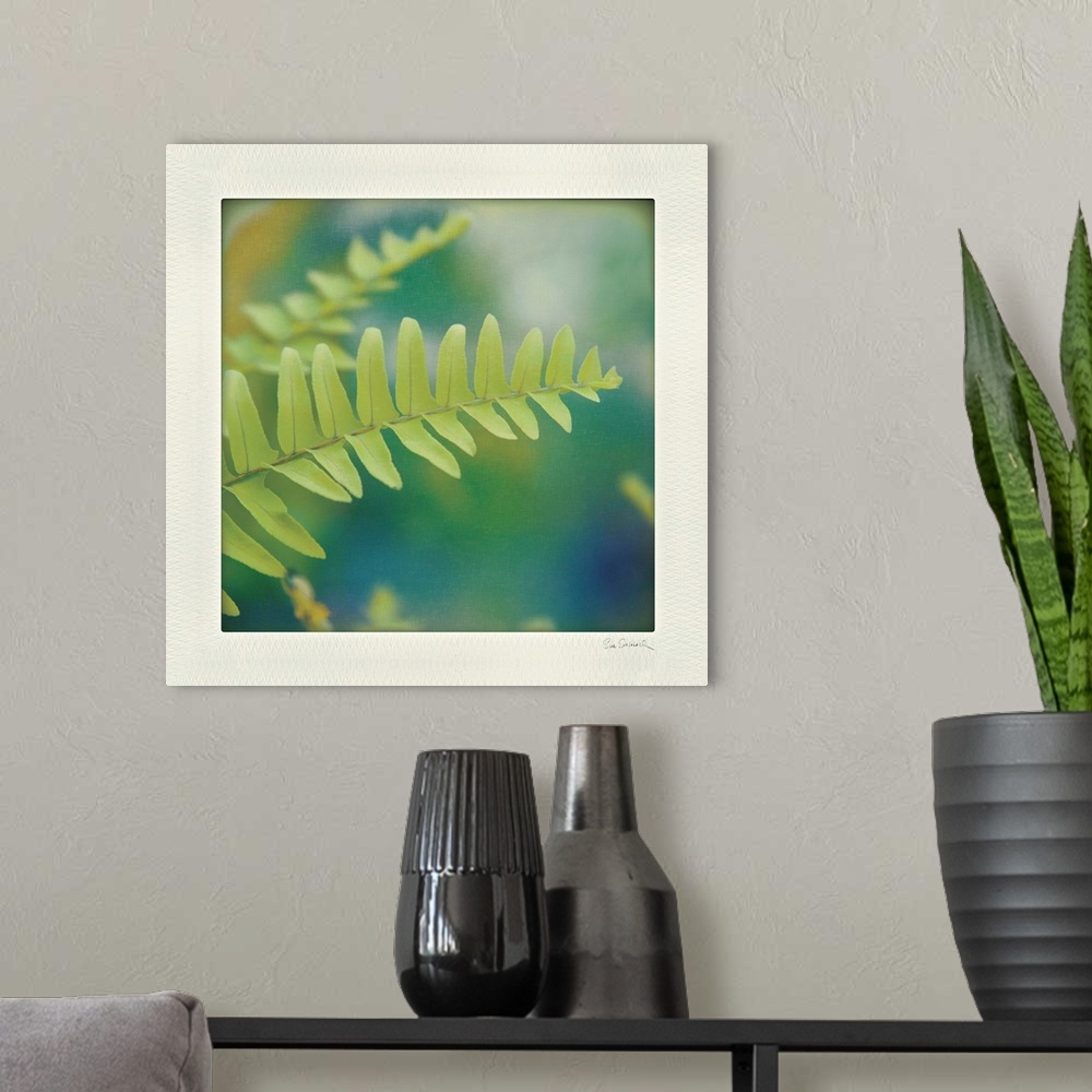 A modern room featuring Photograph of a bright green fern, with a blurred background keeping focus on the fern.