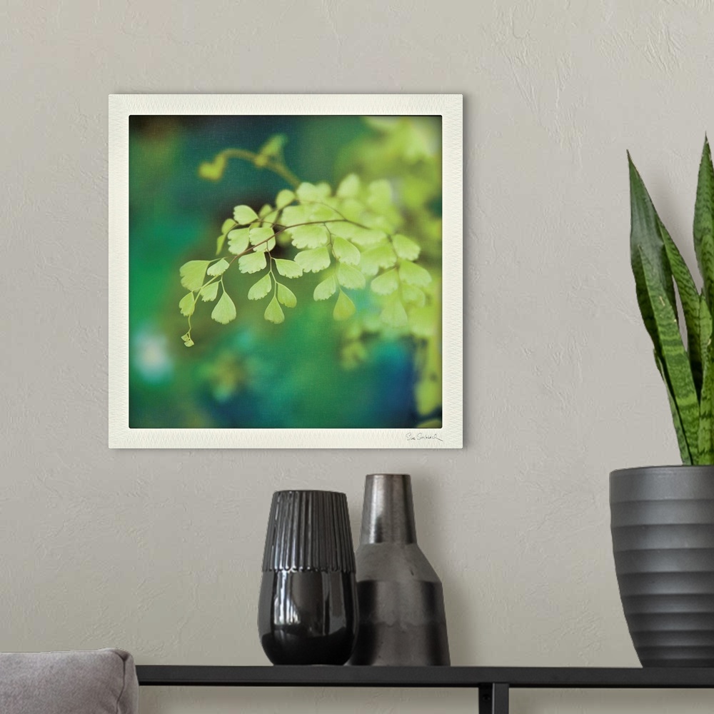 A modern room featuring Photograph of a bright green fern, with a blurred background keeping focus on the fern.