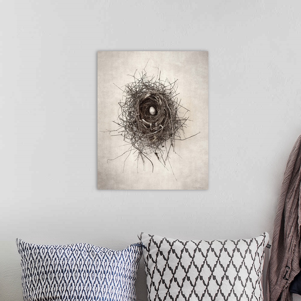 A bohemian room featuring Antique style photograph of a bird's nest with a single egg inside.