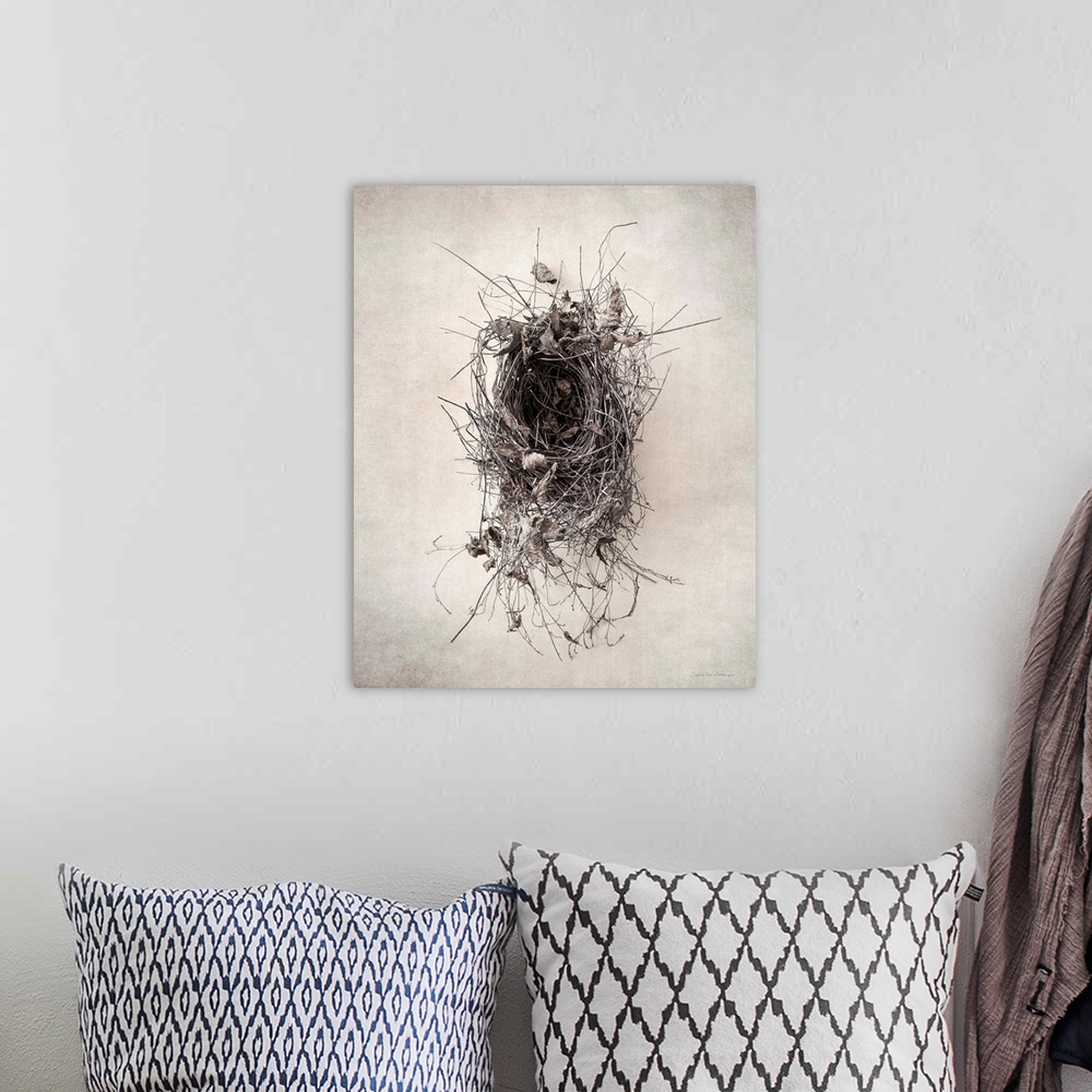 A bohemian room featuring Antique style photograph of an empty leafy bird's nest.