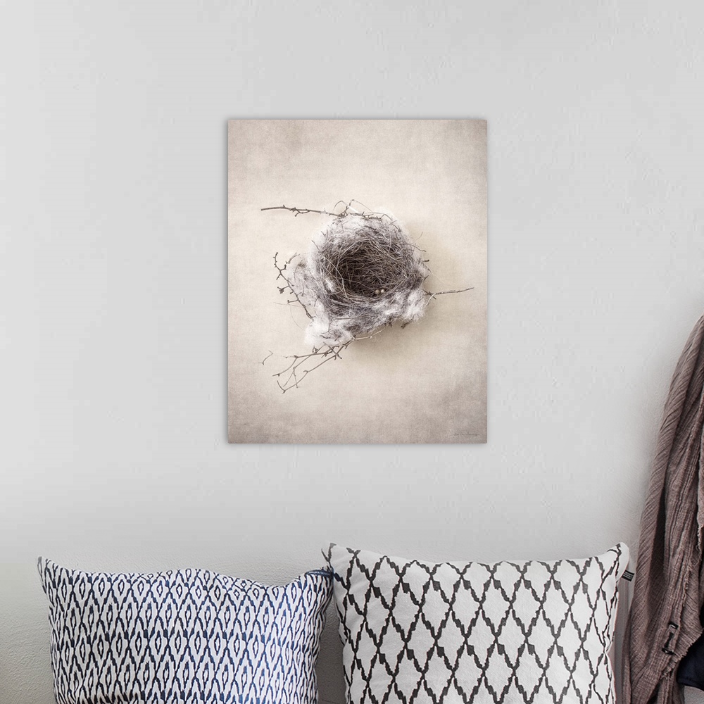 A bohemian room featuring Antique style photograph of an empty bird's nest.