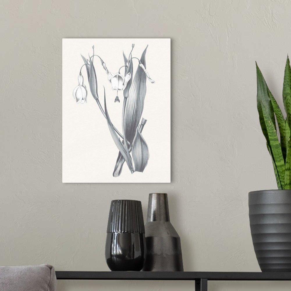 A modern room featuring Black and white painting of lilies on a neutral colored background.