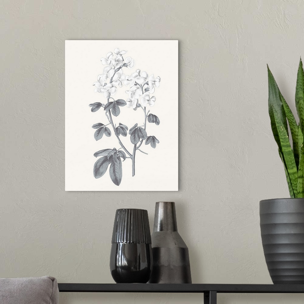 A modern room featuring Black and white sweet pea flowers on a neutral colored background.