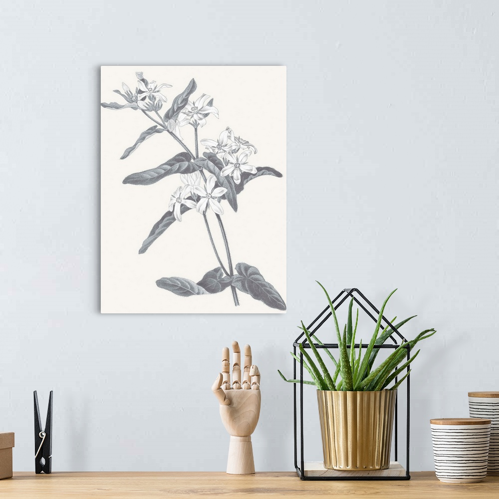 A bohemian room featuring Black and white painting of flowers on a neutral colored background.