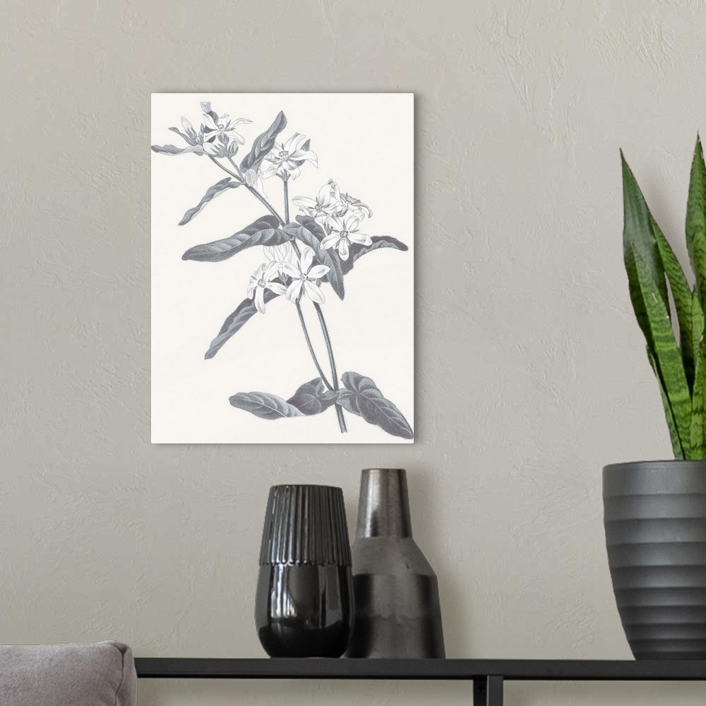 A modern room featuring Black and white painting of flowers on a neutral colored background.