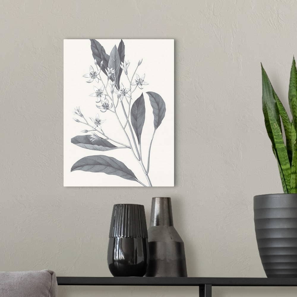 A modern room featuring Black and white flowers on a neutral background.