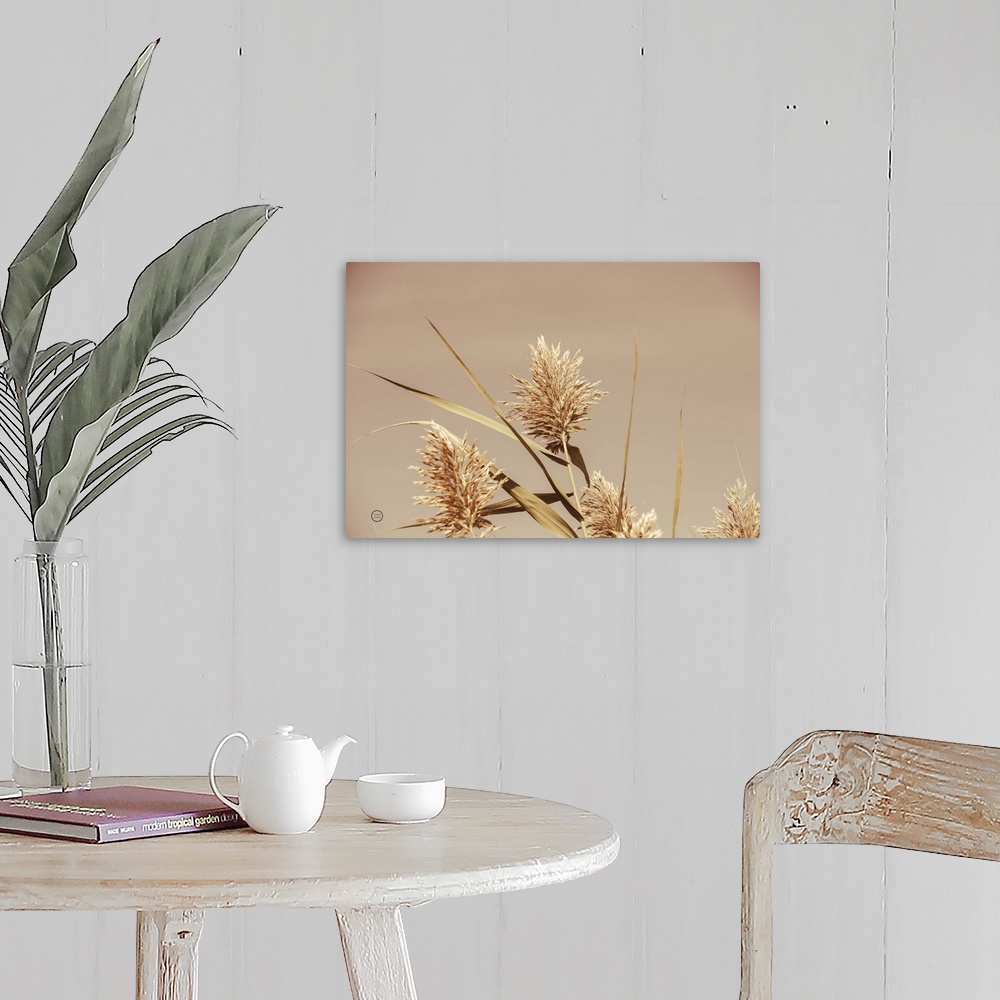 A farmhouse room featuring Noon Grasses III