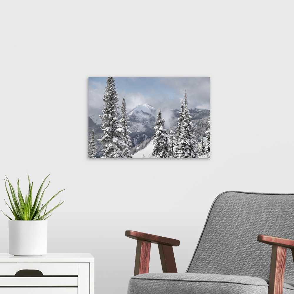 A modern room featuring North Cascades in fresh winter snow. Manning Provincial Park, British Columbia.
