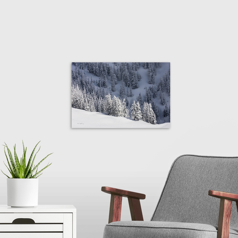 A modern room featuring Winter in the Mount Baker Wilderness, Washington, USA.