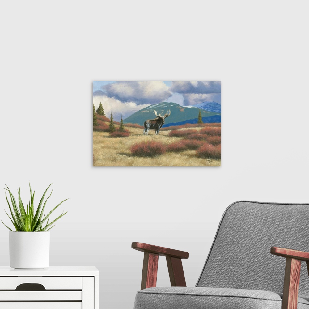 A modern room featuring Northern Moose