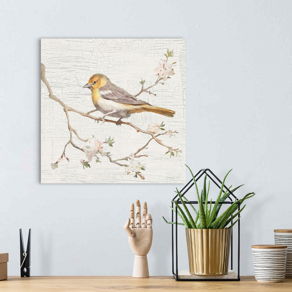 A bohemian room featuring Square vintage illustration of a Northern Oriole perched on a branch with flowers on a texture wh...