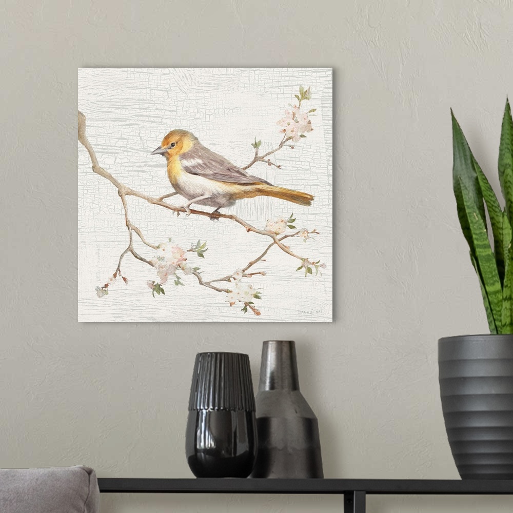 A modern room featuring Square vintage illustration of a Northern Oriole perched on a branch with flowers on a texture wh...