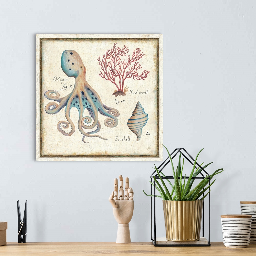 A bohemian room featuring Oceanography I