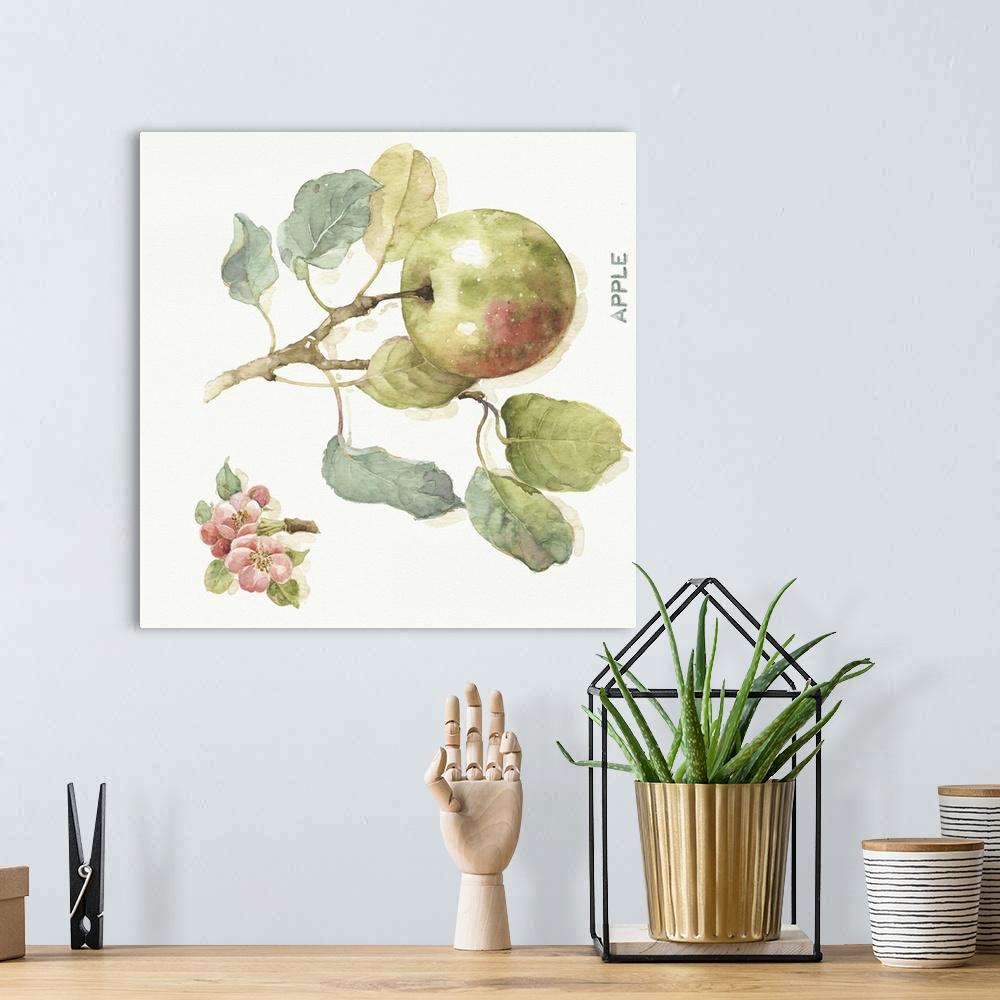A bohemian room featuring Watercolor illustration of an apple hanging off a branch.