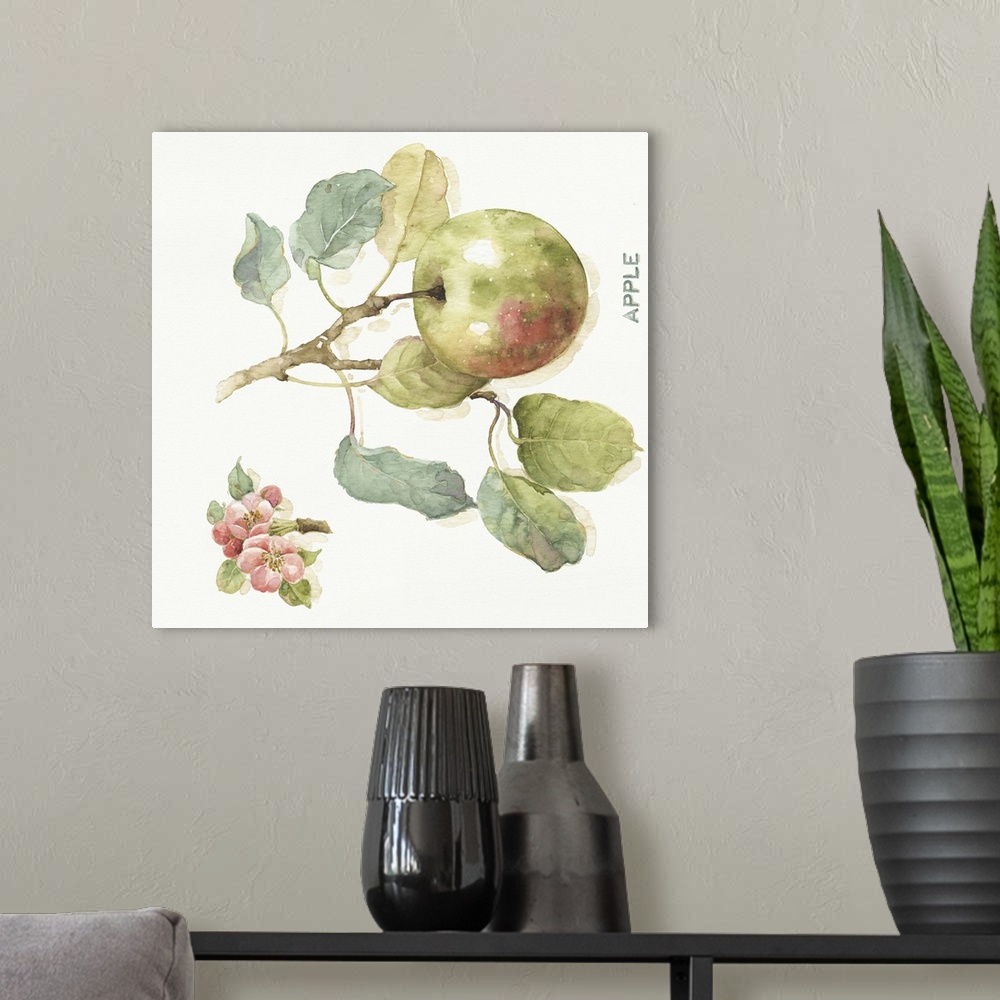A modern room featuring Watercolor illustration of an apple hanging off a branch.