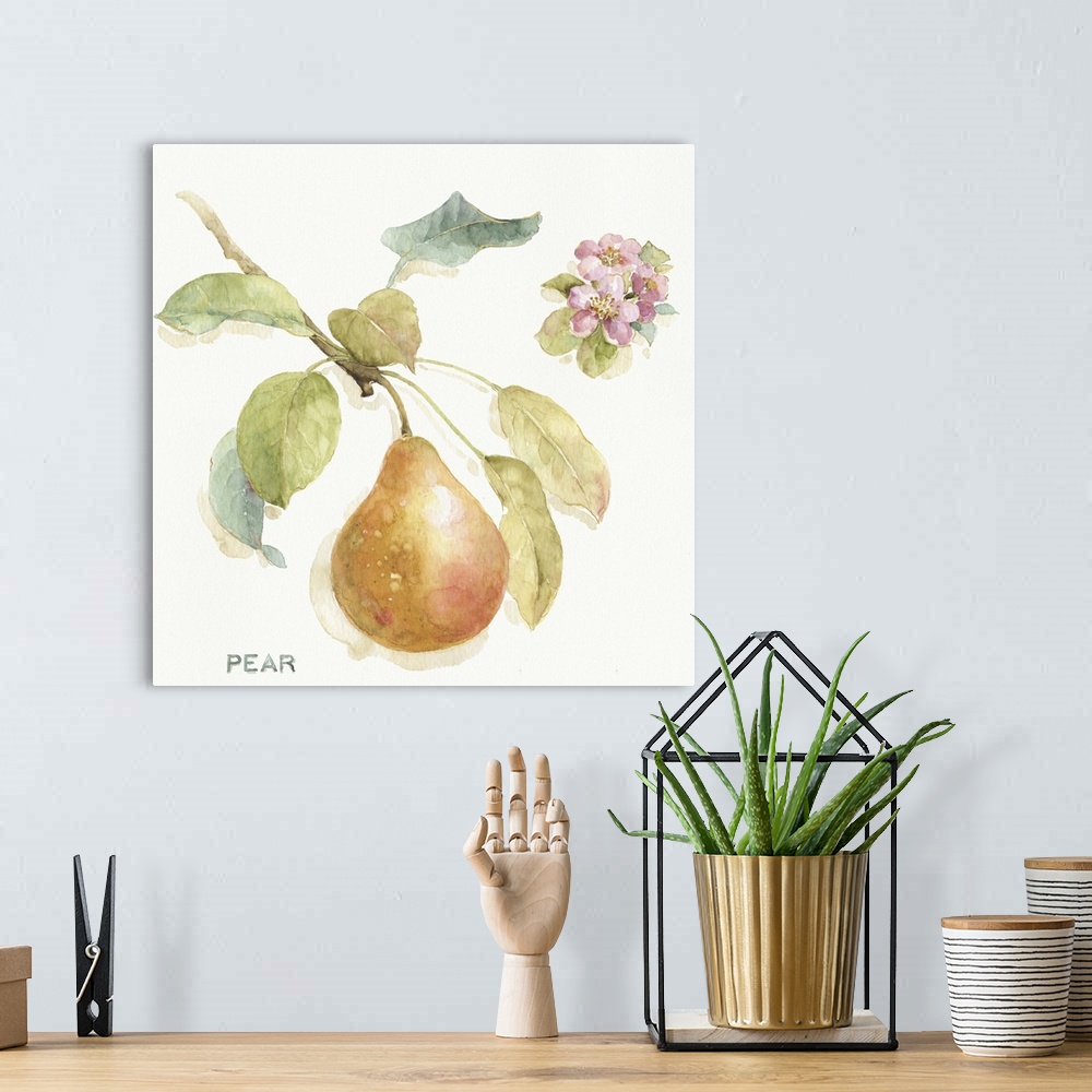 A bohemian room featuring Watercolor illustration of a pear hanging off a branch.