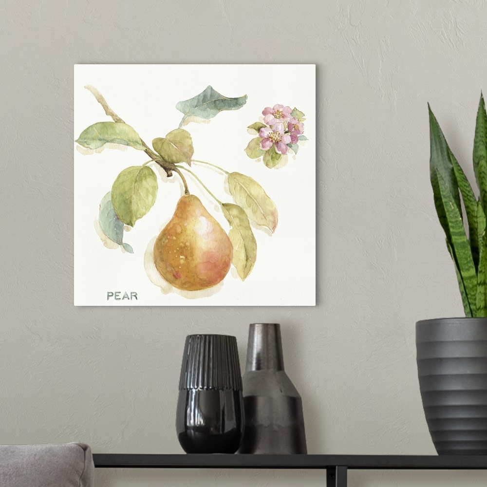 A modern room featuring Watercolor illustration of a pear hanging off a branch.