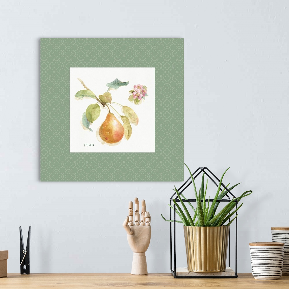 A bohemian room featuring Decorative watercolor artwork of a pear on a branch with a sage green patterned border.