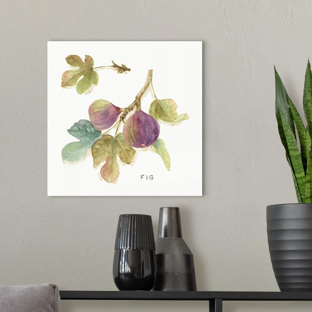 A modern room featuring Watercolor illustration of figs hanging off a branch.