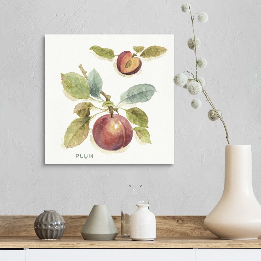A farmhouse room featuring Watercolor illustration of a plum hanging off a branch.