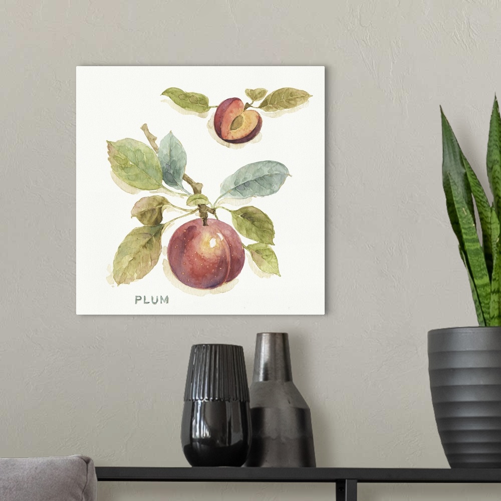 A modern room featuring Watercolor illustration of a plum hanging off a branch.