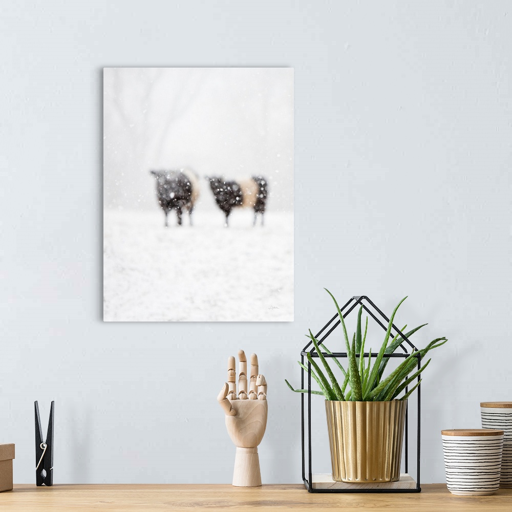A bohemian room featuring Artistic photograph of two cows standing in a snowy field with prominent blurring throughout.