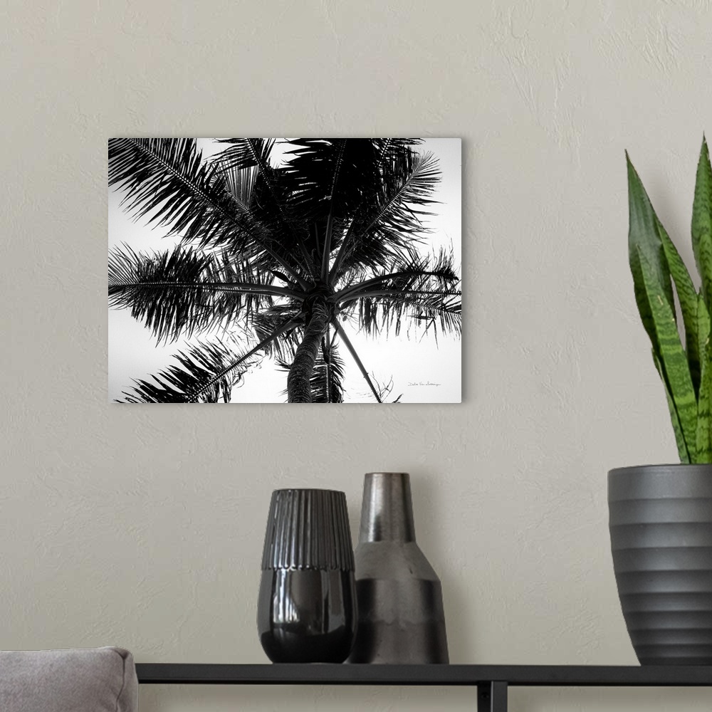 A modern room featuring Palm Tree Looking Up III